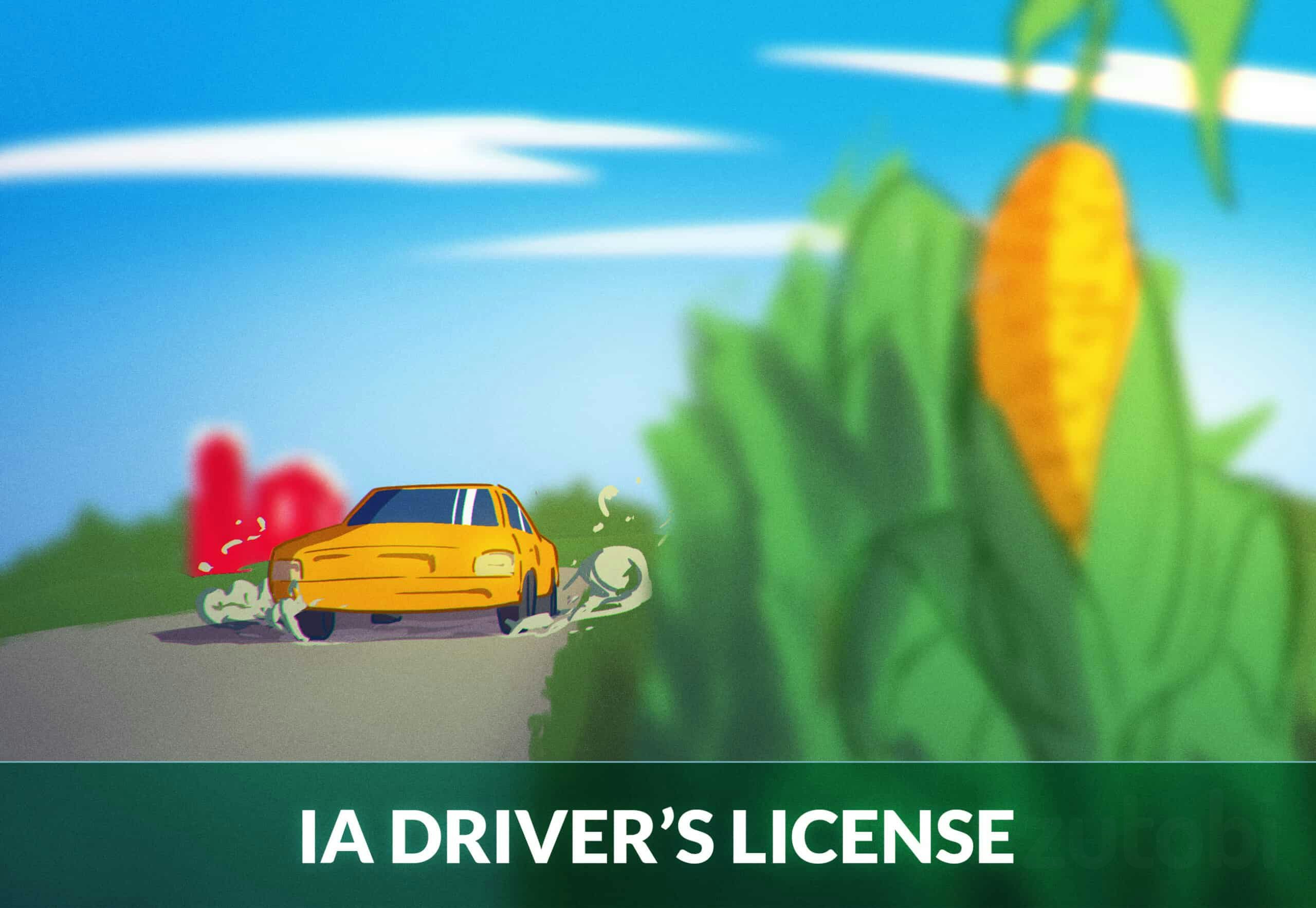 Iowa Driver's License