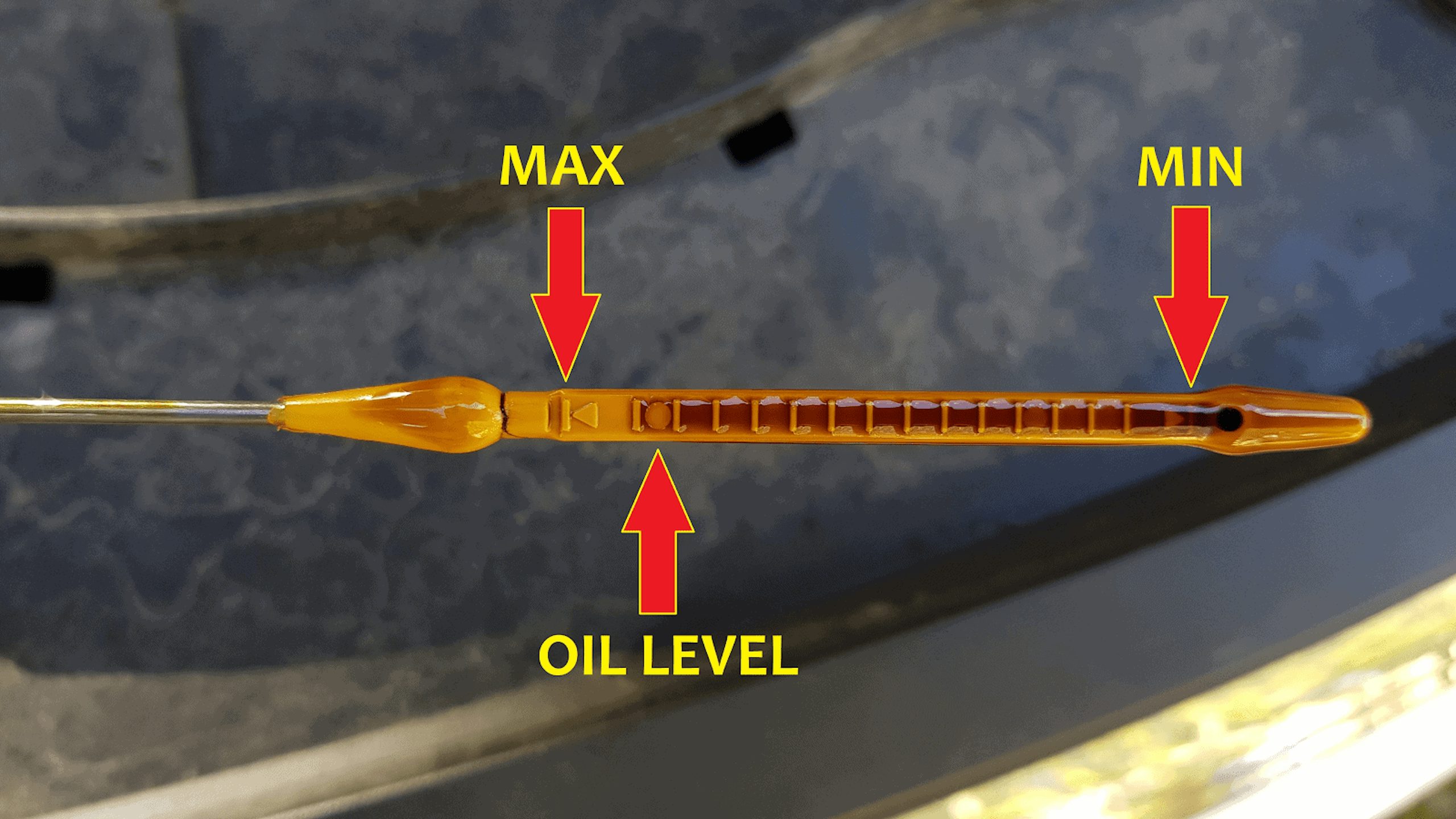 Oil dipstick showing the MIN, MAX, and OIL LEVEL of the engine.